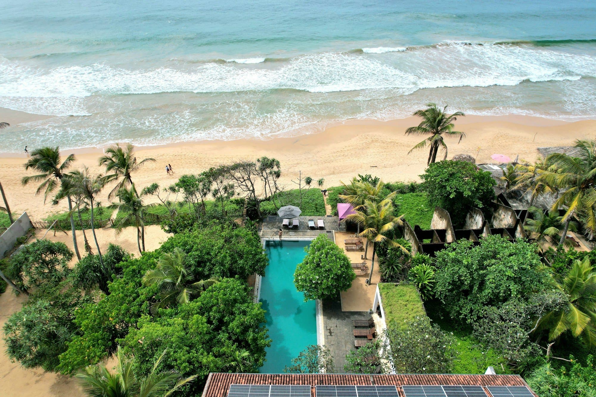 Aerial view of a boutique beachfront resort with a pool among palm trees